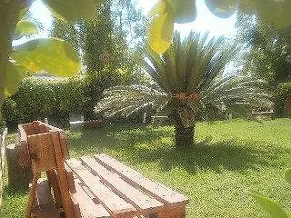 Palm Grove Complex Hotell